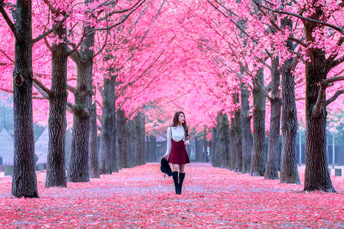 Young Woman Looking Away While Walking On Field Amidst Cherry Blossom At Park - EYF07728