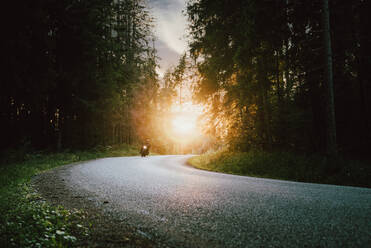 Road Amidst Trees In Forest During Sunset - EYF07749