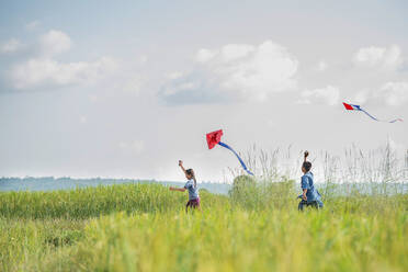 Kinder lassen auf dem Feld einen Drachen gegen den Himmel steigen - EYF07855