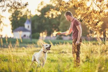 Mann wirft Plastikscheibe mit Hund auf Feld gegen Baum - EYF08013