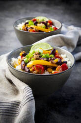 Two bowls of Mexican rice with bell peppers, tofu, kidney beans, tomatoes, corn, lime and scallion - LVF08930