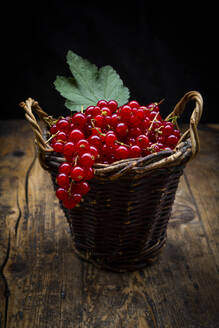 Small wicker basket with ripe red currant berries - LVF08937