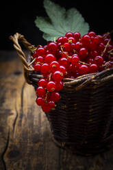 Kleiner Weidenkorb mit reifen roten Johannisbeeren - LVF08938