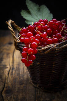 Small wicker basket with ripe red currant berries - LVF08938