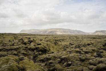 Moss covered lava rocks in Eldrauhn, Iceland - CAVF85790