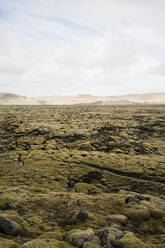Moss covered lava rocks in Eldrauhn, Iceland - CAVF85792