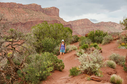 Wanderer geht auf rotem Schmutz Pfad zwischen Wüstenpflanzen in der Nähe von Moab Utah - CAVF85871