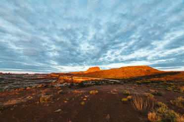 Sonnenaufgang über roten Felsen in der Wüste von Utah in The Maze Canyonlands - CAVF85940