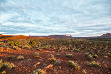 Frühes Sonnenlicht über dem Buschland der Wüste von Utah in Canyonlands - CAVF85942
