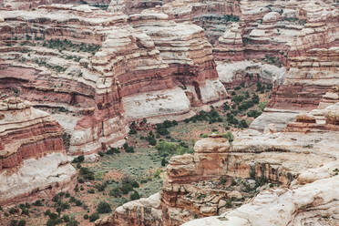 Blick auf die geschichteten roten Felswände des Canyons The Maze Utah - CAVF85949