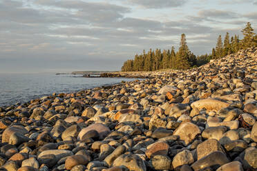 Sonnenaufgang entlang der zerklüfteten Atlandtic-Küste von Maine, Acadia National Park - CAVF86040