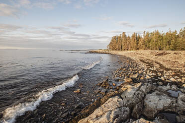 Wellen schlagen bei Sonnenaufgang gegen die felsige Küste, Acadia National Park, Maine - CAVF86049