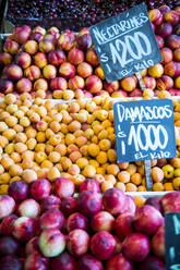 Obst an einem Marktstand in Santiago de Chile - CAVF86153