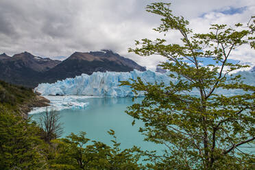 Perito-Moreno-Gletscher, Los Glaciares-Nationalpark, Argentinien - CAVF86193