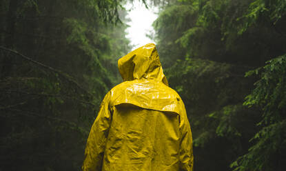 Rückansicht eines Mannes, der einen gelben Regenmantel trägt, im Wald bei Regen - EYF08310