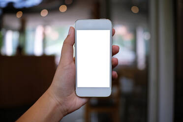 Cropped Hand Of Woman Holding Smart Phone In Cafe - EYF08559