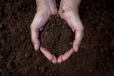 Cropped Hands Holding Dirt - EYF08785
