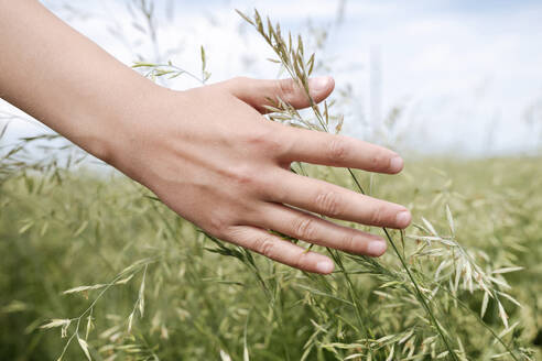 Hand eines Jungen berührt Gras, Nahaufnahme - EYAF01177