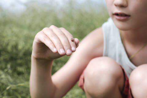 Ausschnittansicht eines Jungen in der Natur mit Marienkäfer am Finger, lizenzfreies Stockfoto