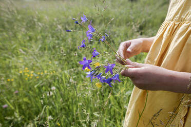 Crop view of girl standing on a meadow holding picked bellflowers - EYAF01184