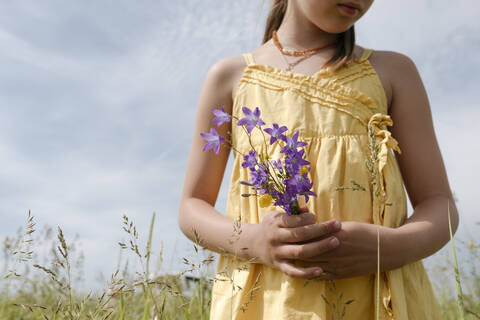 Crop view of girl standing on a meadow holding picked bellflowers stock photo