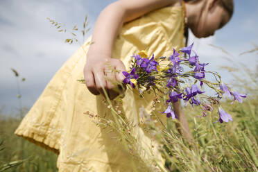 Die Hand eines Mädchens hält gepflückte Glockenblumen auf einer Wiese - EYAF01186