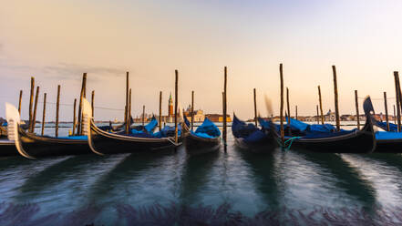 Italy, Veneto, Venice, Row of gondolas moored in marina at dusk - MCVF00465