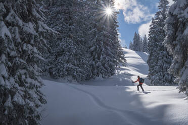 Man during ski tour, Inzell, Kienberg, Germany - HAMF00645