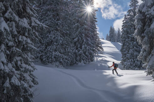 Mann bei Skitour, Inzell, Kienberg, Deutschland - HAMF00645