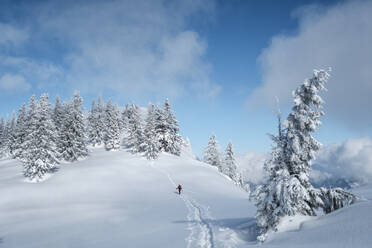 Älterer Mann bei einer Skitour, Inzell, Kienberg, Deutschland - HAMF00648