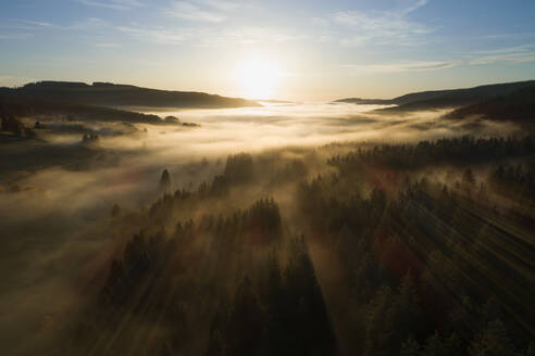 Germany, Baden-Wurttemberg, Drone view of Schluchsee lake shrouded in thick fog at sunrise - RUEF02988