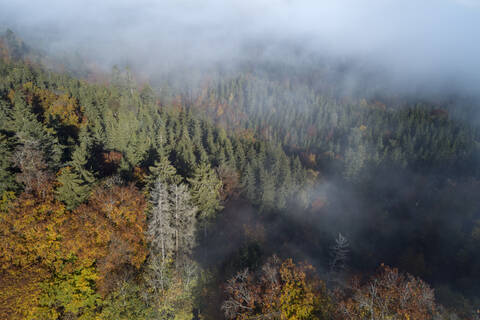 Deutschland, Baden-Württemberg, Drohnenaufnahme eines in Morgennebel gehüllten Herbstwaldes, lizenzfreies Stockfoto