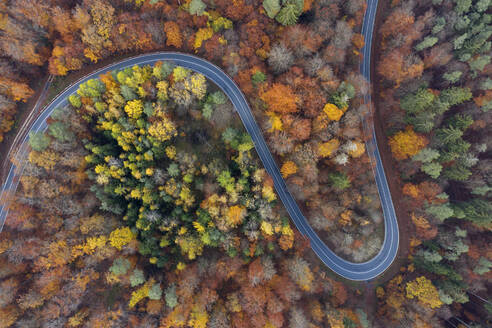 Deutschland, Bayern, Drohnenaufnahme einer kurvenreichen Landstraße durch den herbstlichen Wald im Steigerwald - RUEF03008