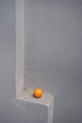 Einzelne Orange auf einem grauen Mauervorsprung - KNSF08086