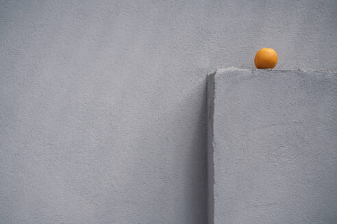 Single orange on a gray wall spur - KNSF08087