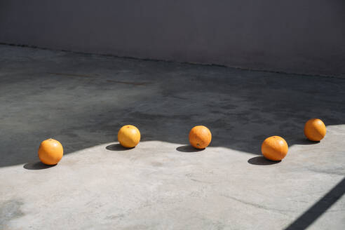 Linie von Orangen am Rande eines Schattens - KNSF08091
