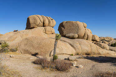 USA, Kalifornien, Felsformationen im Joshua Tree National Park - RUNF03670