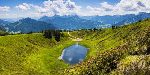 Germany, Bavaria, Oberallgau, Wertacher Hornle, Blooming alpenrose (Rhododendron ferrugineum) and Hornle lake in Allgau Alps landscape - WGF01342