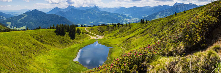 Germany, Bavaria, Oberallgau, Wertacher Hornle, Blooming alpenrose (Rhododendron ferrugineum) and Hornle lake in Allgau Alps landscape - WGF01343