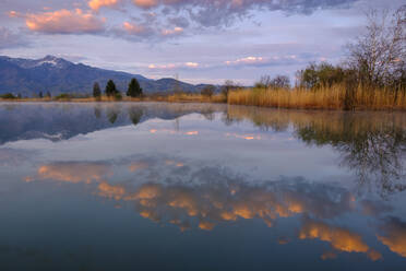 Deutschland, Bayern, Schlehdorf, Wolken spiegeln sich im Eichsee in der Morgendämmerung - LBF03090