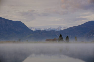 Deutschland, Bayern, Schlehdorf, Eichsee in Morgennebel gehüllt - LBF03094