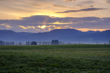 Deutschland, Bayern, Schlehdorf, Loisach-Kochelsee-Moore bei nebligem Sonnenaufgang - LBF03095