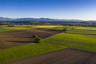 Deutschland, Bayern, Huglfing, Drohnenansicht von braunen und grünen Feldern im Sommer - LBF03105