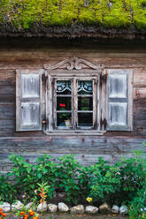 Schönes Fenster an der Wand eines Holzhauses auf dem Land mit moosbewachsenem Dach - ADSF00060