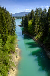 Deutschland, Bayern, Schwaben, Ostallgäu, Allgäu, Tiefental, Nebenfluss Bernmoosbach in Forggensee - LBF03126