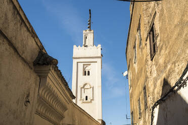 Marokko, Fes, Altstadthäuser und Minarett - TAMF02355