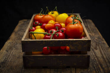 Frische Tomaten in Holzkiste - LVF08941