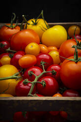 Frische Tomaten in Holzkiste - LVF08942