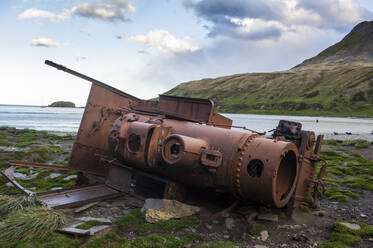 UK, Südgeorgien und Südliche Sandwichinseln, Verlassene Dampflokomotive verrottet an der Küste der Antarktis - RUNF03676