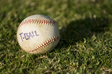 Nahaufnahme eines TBall-Baseballs, der in einem Grasfeld liegt - CAVF86274